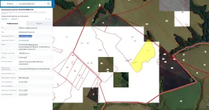 Аукцион на право заключения договора аренды земельного участка, находящегося в государственной собственности до разграничения ( Российская Федерация, Нижегородская область, Спасский р-н, д Ишеево, участок 4. кадастровый номер: 52:29:0120002:124)'